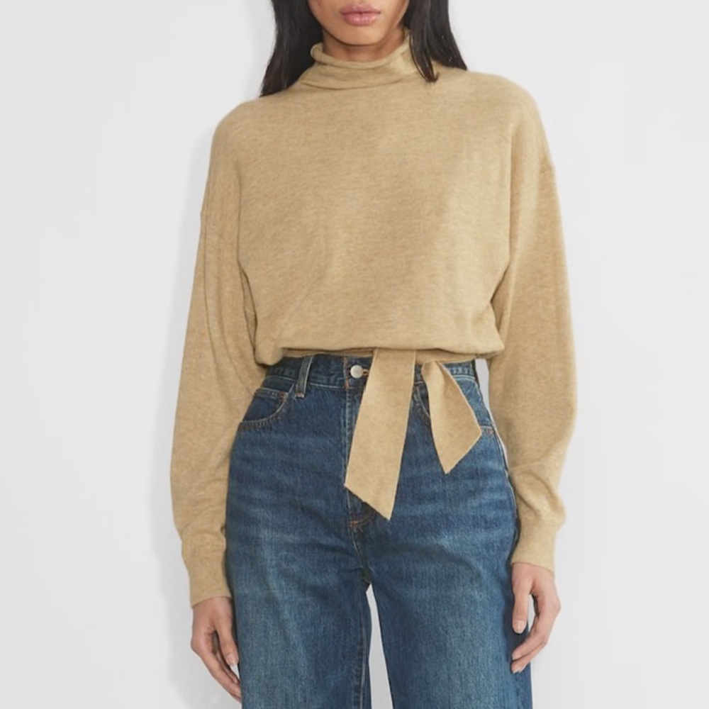 Aritzia Alpaca Wool Blend knit turtleneck